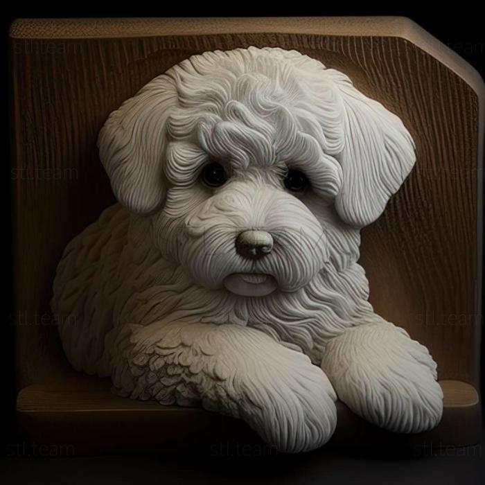 3D модель Собака породи бішон фрізе (STL)